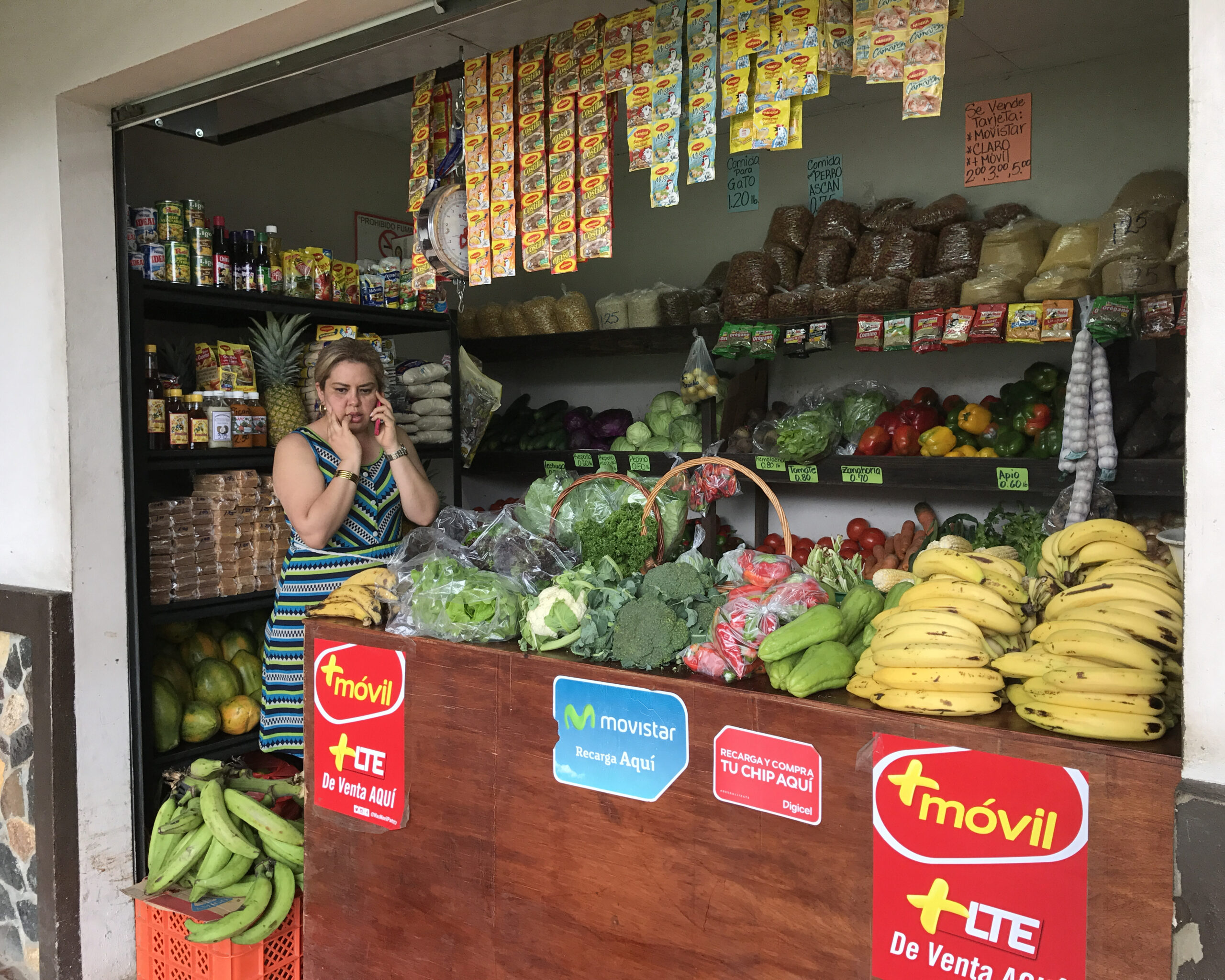 Minisupers and Roadside Vendors of Nueva Gorgona, Panama